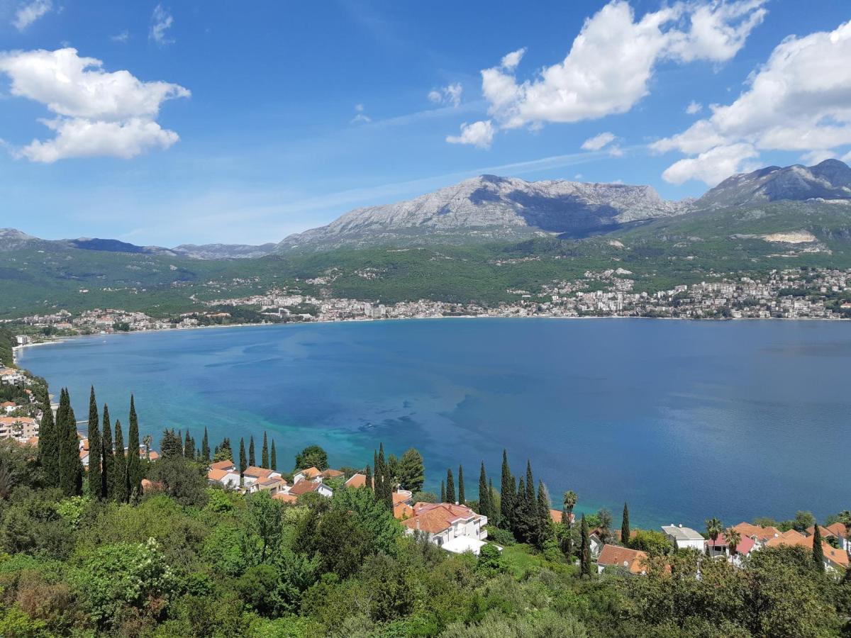 Villa Garden Apartments Herceg Novi Exteriér fotografie
