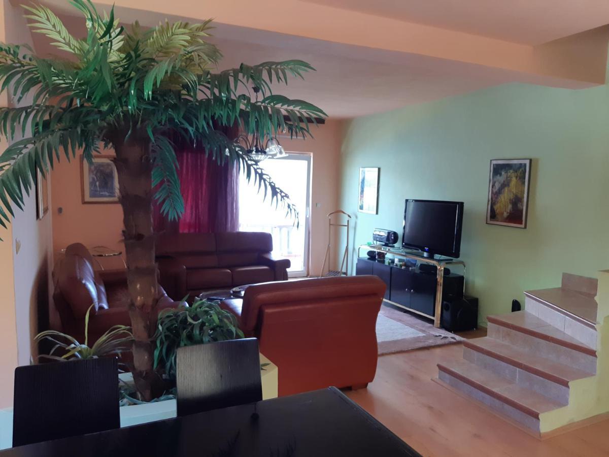 Villa Garden Apartments Herceg Novi Exteriér fotografie