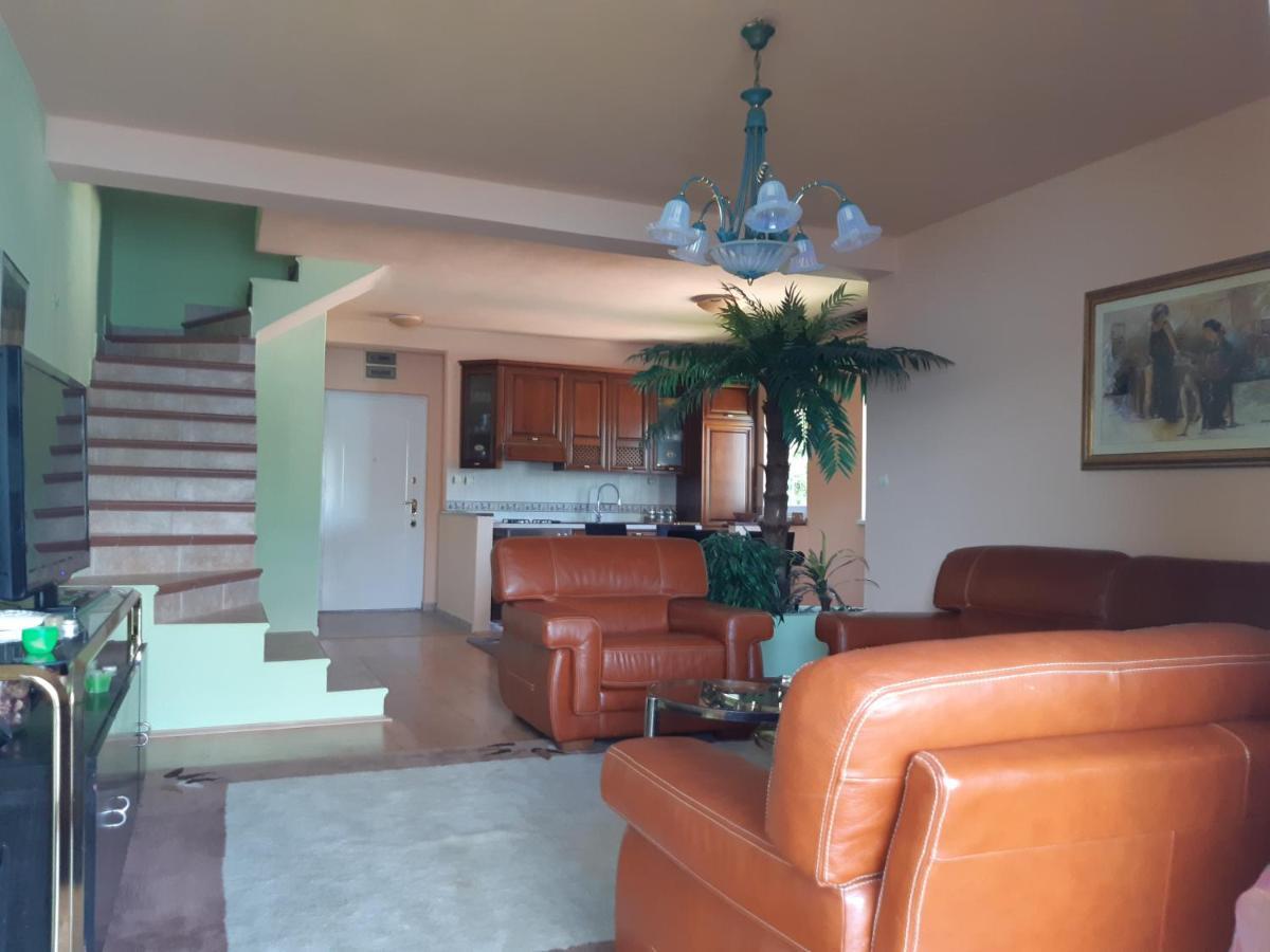 Villa Garden Apartments Herceg Novi Exteriér fotografie