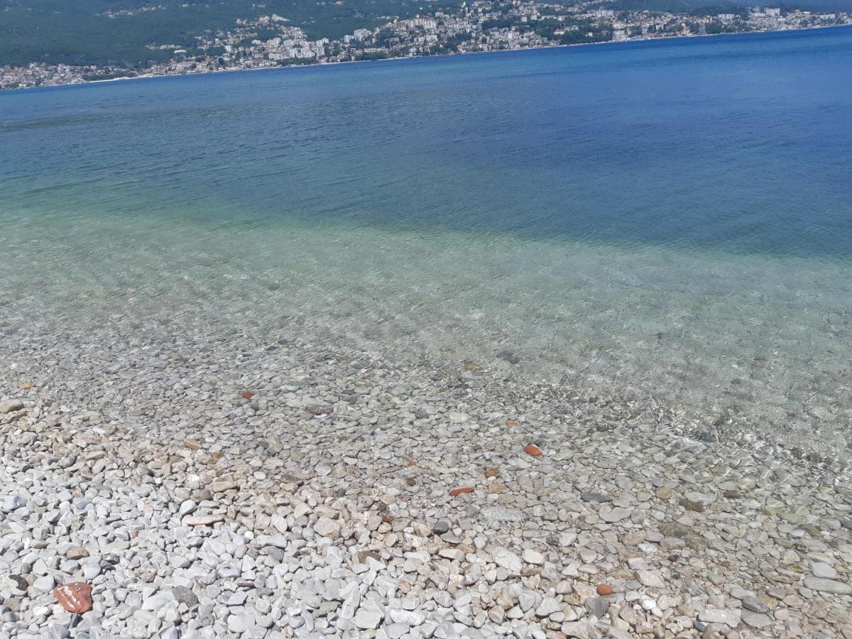 Villa Garden Apartments Herceg Novi Exteriér fotografie