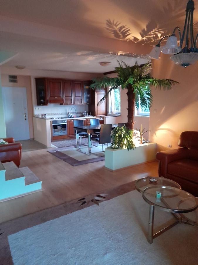 Villa Garden Apartments Herceg Novi Exteriér fotografie